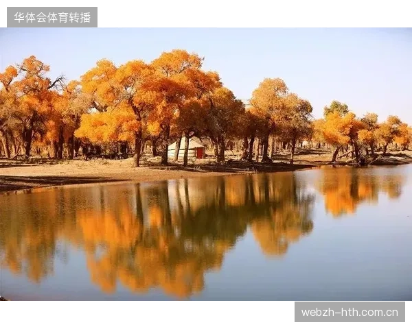 赛事直播配套投入激增但部分场馆旅游接待效率仍陷于粗放增长模式